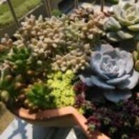 B417608abdfbd14619885af13d67031d0777b71a