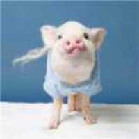 738e91e25c9de01fc544bd9338672e829c246c9c