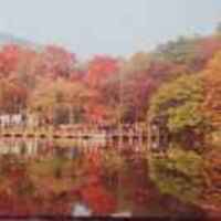 79e983c2bd3ea0274e45af02cc5498632e4e7086