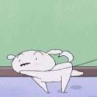 Ae1e57576a77e887f0fcfdc1bf38d2888ee1dc17