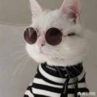 9a24c8d92158f0026802c4f324432ab07c79076d