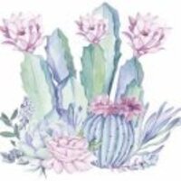 D1260bcf150aaa353806624724b52f1fbeead51a