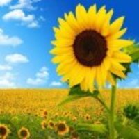 A5843d8d537022ce915d3a6bf13c5b66b21eba93