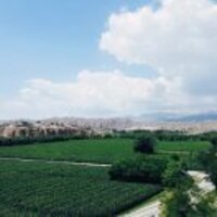 D31278b79a5225402bd6d7bb4389ed0b84e3607a