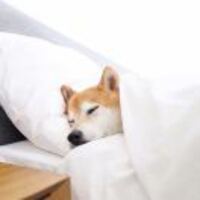 9eb4220bac1658c782e40250116cb96e9633b334