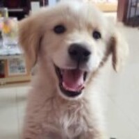 9ed61596166c461e3e6cabd9ed0e0c8a556f2d98