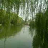 928c3a36678e40ea8f21d75db034a468e0c83d73