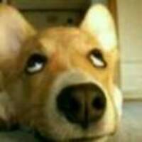 22a79ab790d482ccca8f259a1f6b84a857ca0bdb