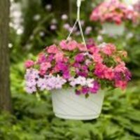 94dbd05e5e2a9aea694b2091fd90d16ed1ea271b