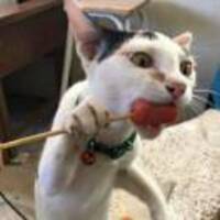 24b6e9e08aa522fdd71d4d9a9ce17c600b8c9352