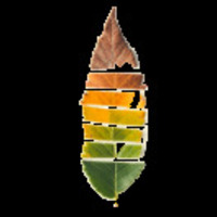 Affa2dd30ab254752b4cfb4049e2d803eb70d357