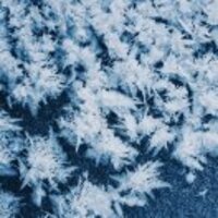 A7d3907da581e032c560571e8f370352e57f1260