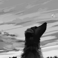 477d8b249131e11e5531f03f1a27cd93a04fb37b