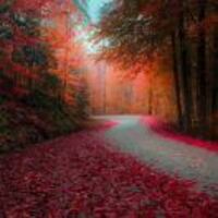 3fc435da5547f121f17cde88b8bfbca4e6eeac4d