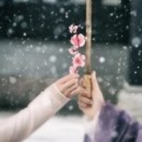 D307ed30150eb2d087b019be195b1f74cbe7f72e