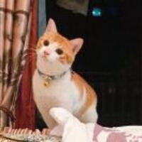 C78bf586c98401228a9830b88ac0d320b3604d5a