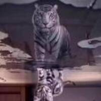 Fb84971024203a1f949e4ad52526567cac83803b