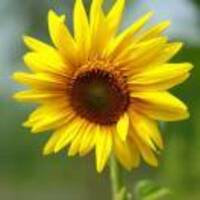 5ac1a3fe8e6e3e1aafdaf3b390f2d13601c24bc4