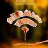 B01e0def5e570c570c462fa4e147ef001e721d39