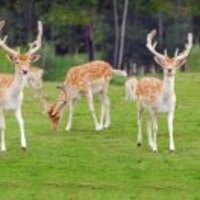 C9d5c9846f3e8dfac412f83b5395bc81085880e6