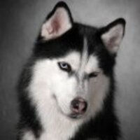 Cdbbcaf77dc093ecb9c30c36ede38486a5ec26ab