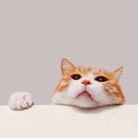 39cce1b4777d973550caaf5b83cc592e01322212