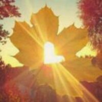 E10d9eb1ee3732d3111782eccf9cfac0067381c9