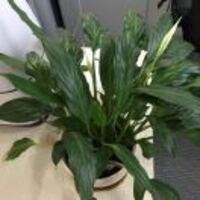 B4b49eeb46b48a2b40efea05d69ec25f8fea520a