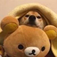 55a4bb9d61fe0bce5d82bb9c990ab9a645771f2d