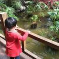 Fd1ef5211e154ad689b92e1848f648a97f385232