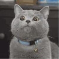 9c69a863eda2345f89a377078bab2925e564632d