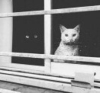 2a95f38474b4fd862150138395e66c92243b1c11