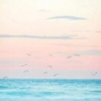 F83f19780a9801c61e68362b4ca2288c44abc0e4