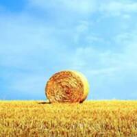 8373d509ce977f04dc563084f0b9e50ba149d5ce