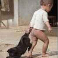 9acdab978a748e4079576ed5d75f61a1e4a98c96