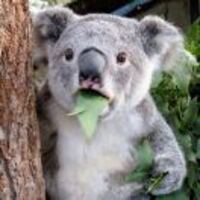 Da1a9d0fb71356f8b16360d6a08dcaac83fd0fc3