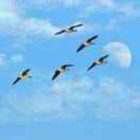 055be79b8f89ef27787011dc506a4b718331c9f8