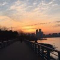 8aac8811f5233fe7fc1754f9f51b999ae099bc80