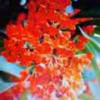 92dd673b18d8684d097fe328c2de7d115386b9df