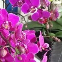 6092defbfd9a5d199928705ad5e03f5360505d6d