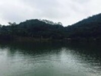 D9c8e364091bc8865474c1594a003f174e920e8c