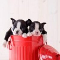 1041220bdb6a3b6822d46192b3d2074271cde13d