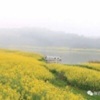 1f2088b33d302fc6a2b46ec40b0911c1535eb66d