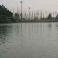 40c899ccc8d570803648dce382490fdf6eb0f6e7