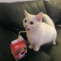 B5979b3028beb107202539305bceaeff9fd5580e