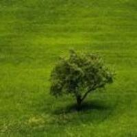 531a8d120ef96aedd5a2e3fed5b60fe0937cdef5