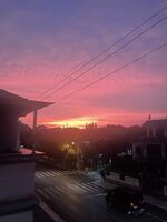 3095171eb4b2d9a200d07bc218814945322d4aea