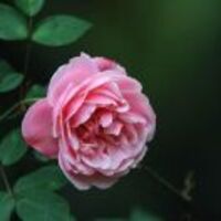 F8dde1308990191712c7f96c3057cfa74be25295