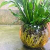 98959a00737299d2e6f9ad39cbb073be37d11034