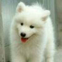 0d4992911b41a10fbcd6871b580d759a23f2e64c